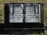 image of grave number 850301